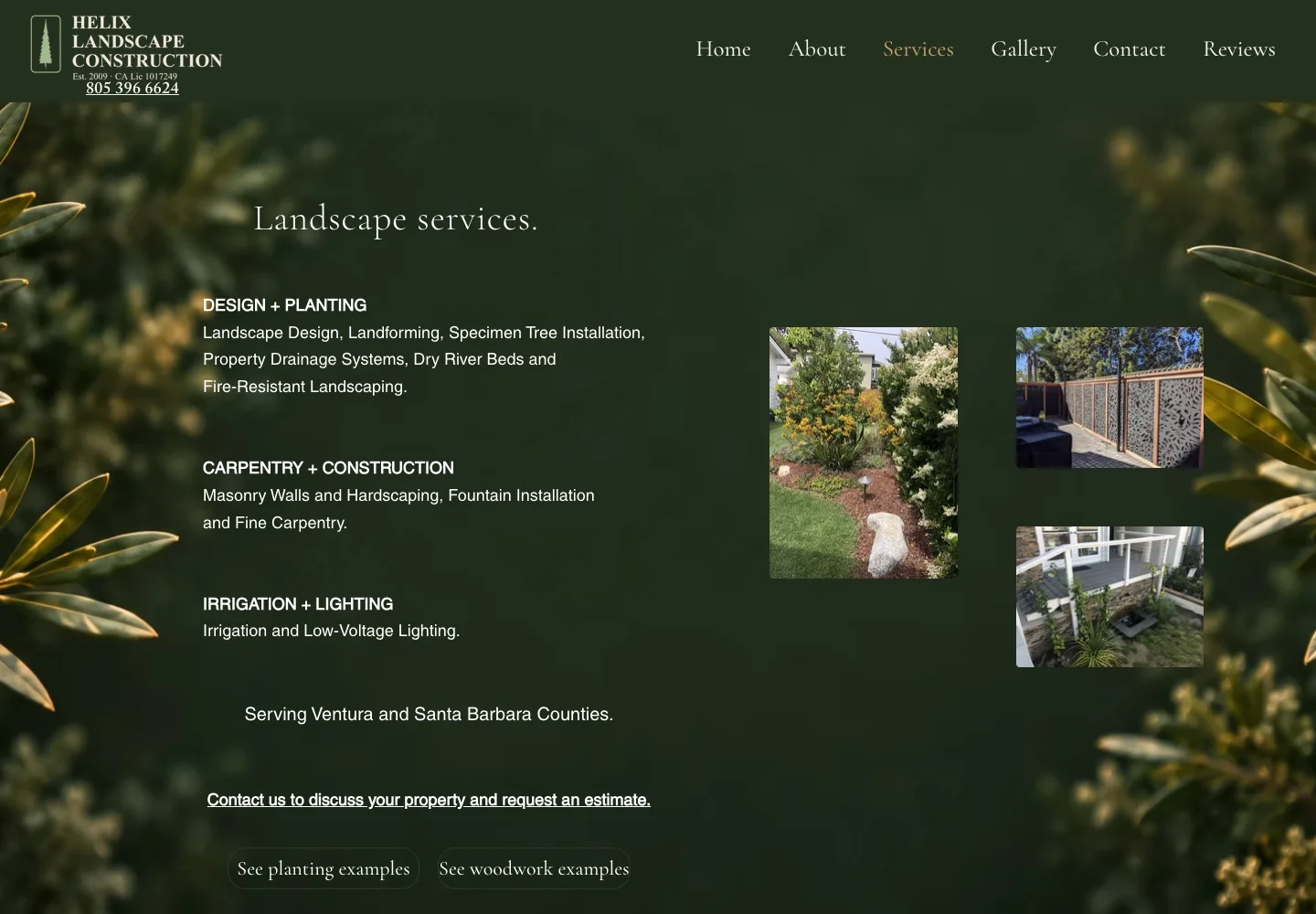 After Helix services page, captured from the actual website