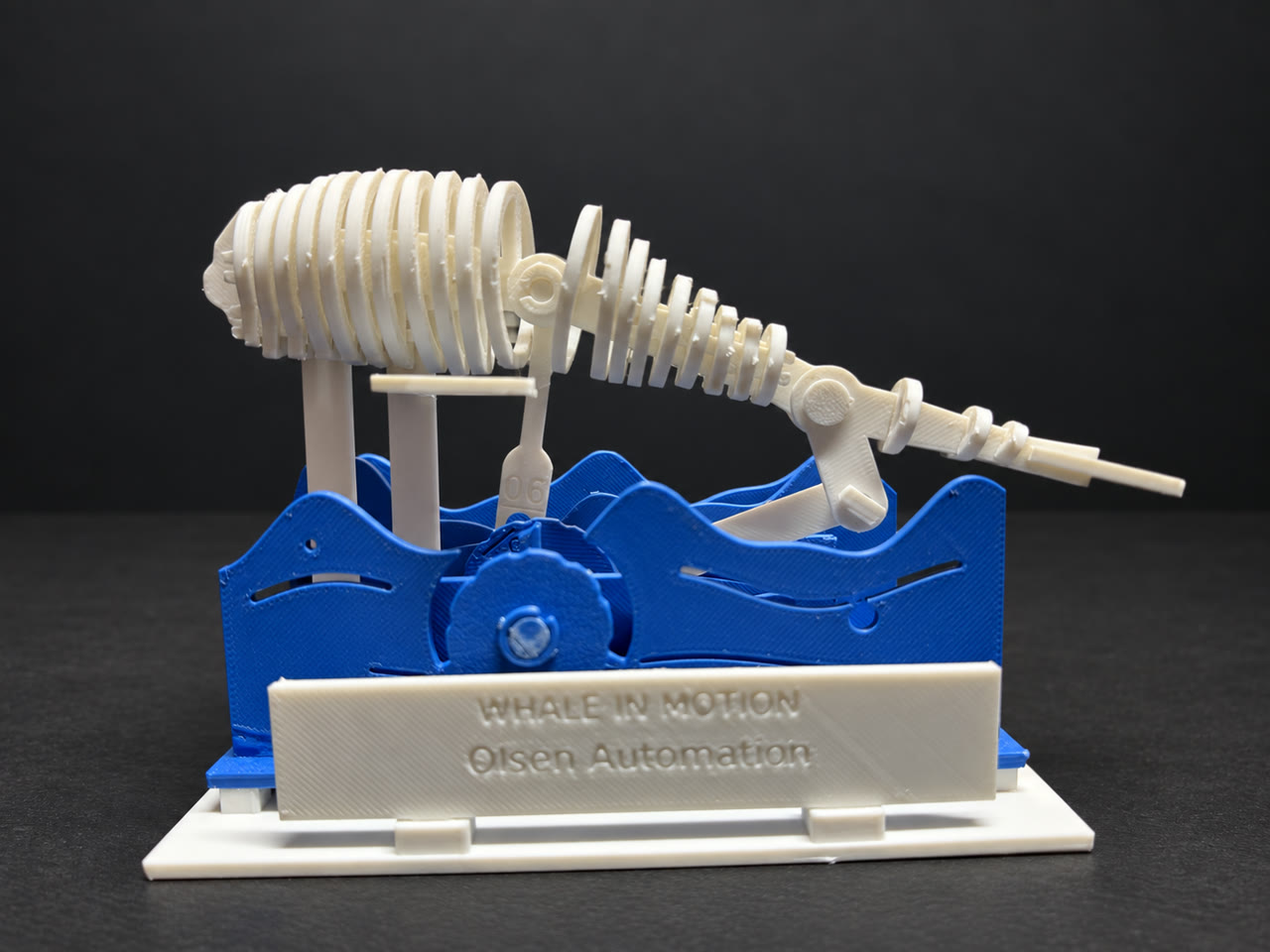 White v0.5 skeletal whale above blue moving waves on a white display platform with an Olsen Automation plaque, against a cleaned charcoal background